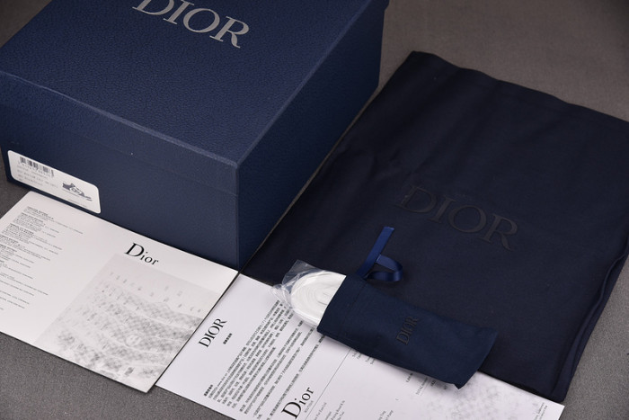 D10R B27 LOW SNEAKER